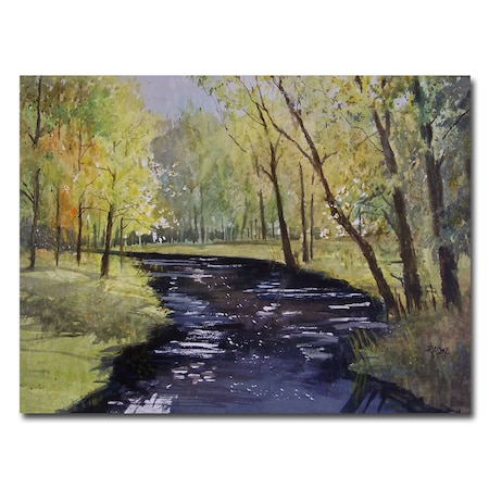 Ryan Radke 'View From The Covered Bridge' Canvas Art,18x24